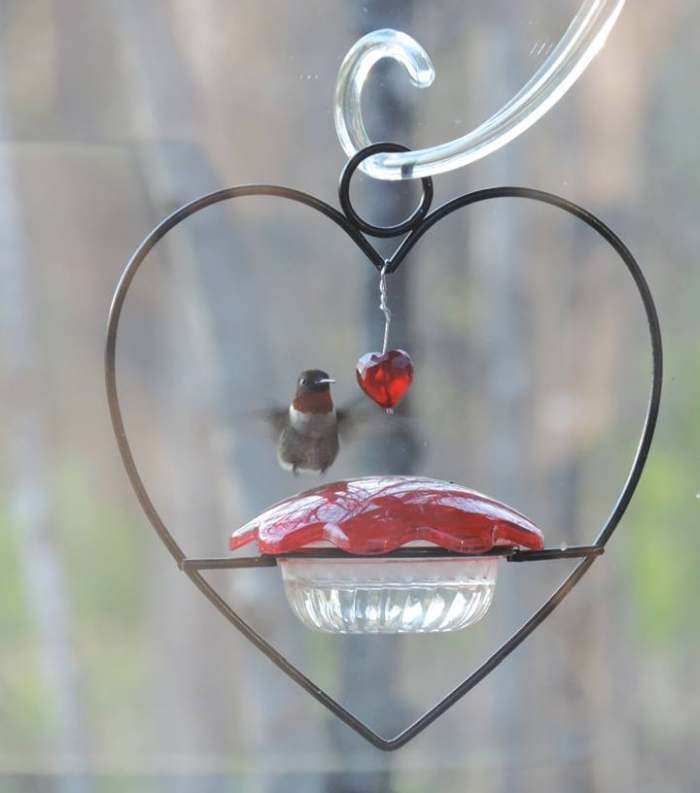 Hummingbird Heart Feeder Set of 2
